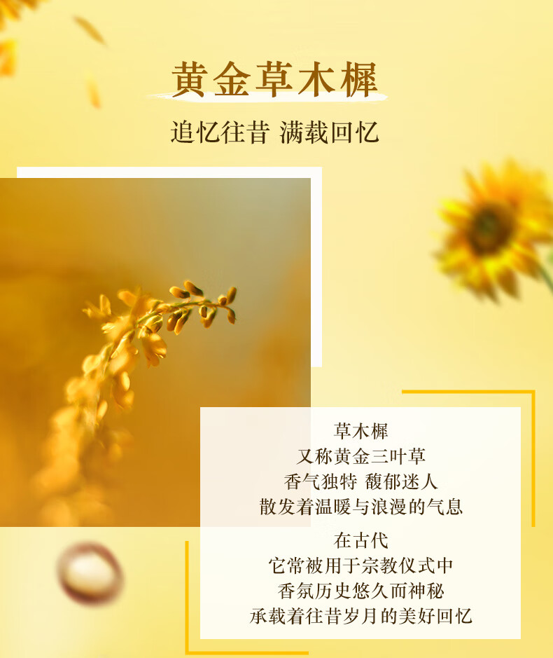 欧舒丹（L'OCCITANE）遗忘之花系列 蜂蜜草木樨香氛护手霜30ml  法国原装 新年礼物