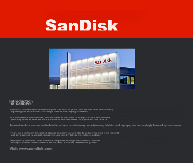Карта памяти SanDisk Extreme PRO CompactFlash, 128 ГБ, скорость чтения 160 МБ/с, скорость записи 150 МБ/с