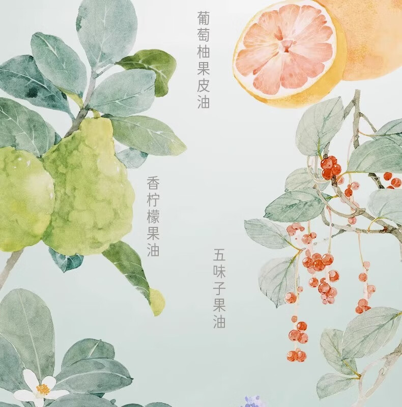 BAINHR逐清欢本5代植物卸妆油干湿双卸洁颜油面部眼唇温和敏感肌可用