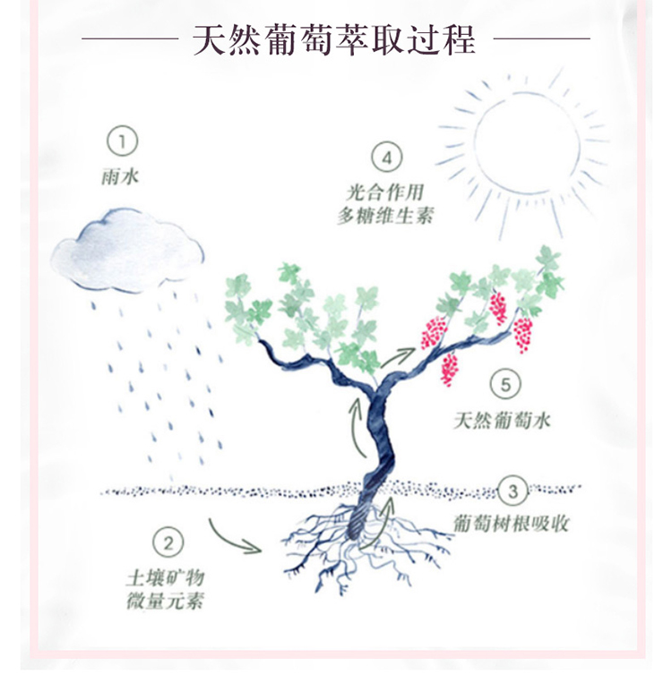 欧缇丽舒缓保湿精华液10ML 祛黄提亮肤色 补水锁水 深层保湿 强韧肌底