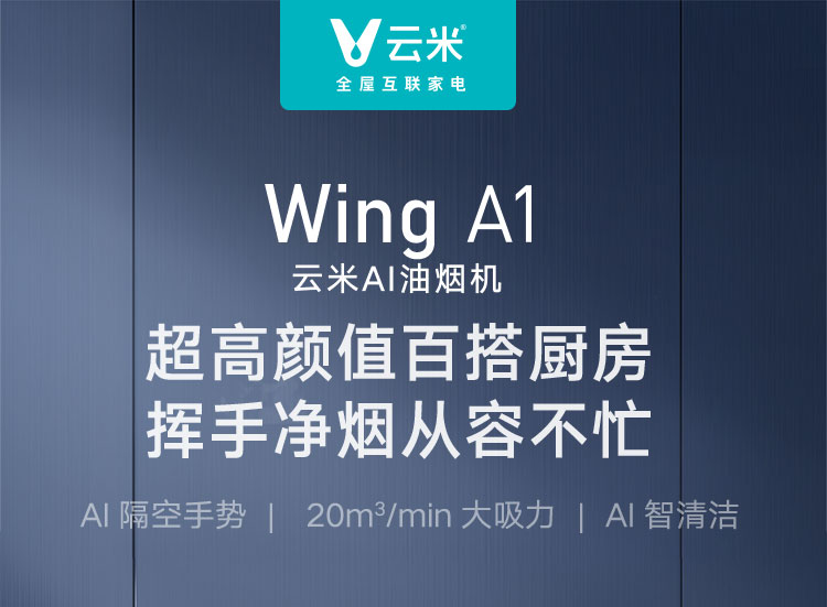 云米(VIOMI)抽油烟机灶具套装大吸力挥手智控家用燃气灶WingA1 CXW-258-VC303A+JZT-VG203(天然气)