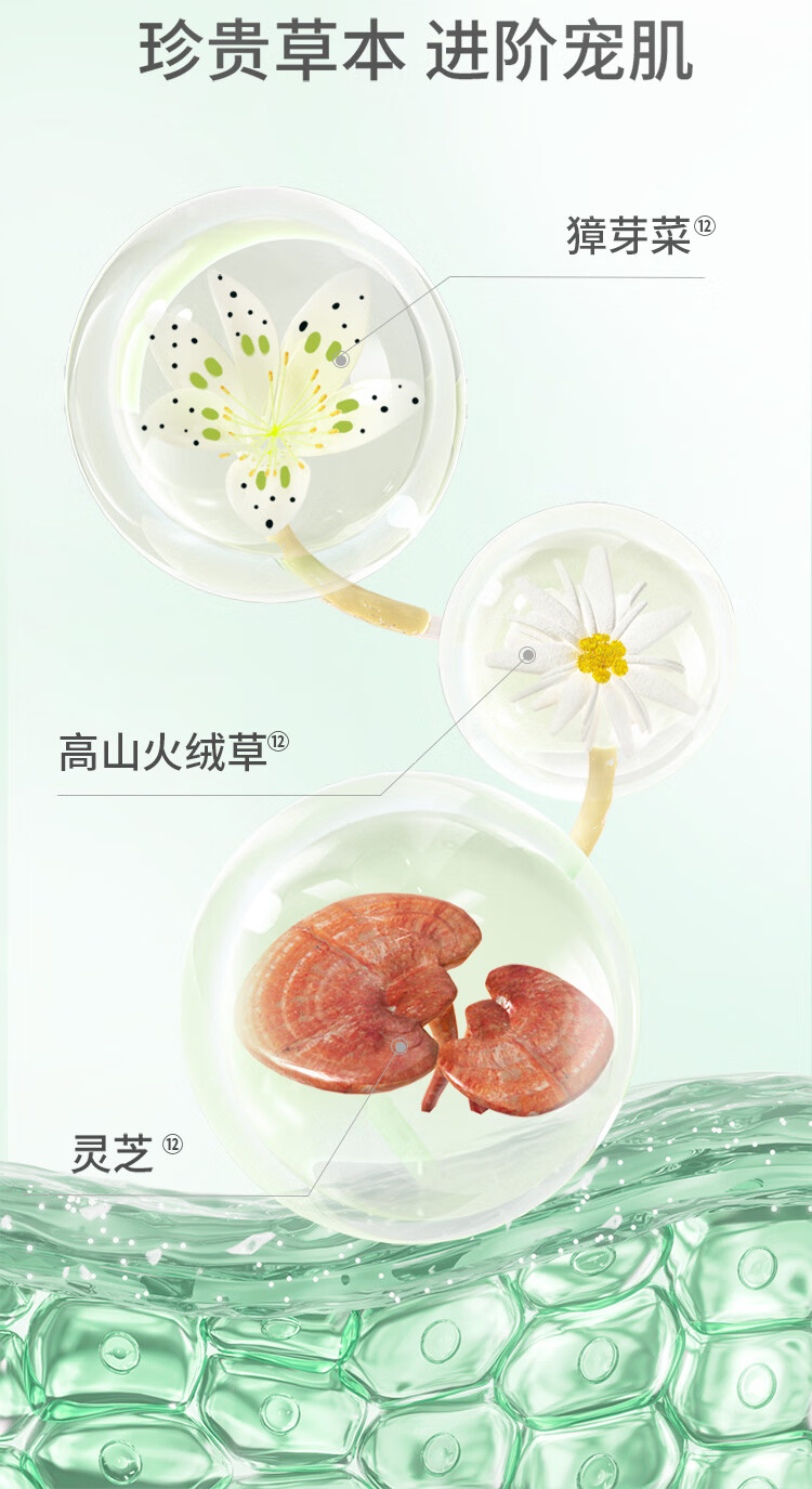 百雀羚（PECHOIN）护肤套装礼盒肌初致臻6件套抗皱紧致锁水保湿淡纹