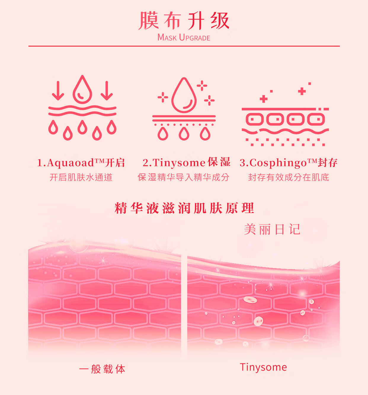 我的美丽日记（MY BEAUTY DIARY）大马士革玫瑰面膜 柔嫩美肌 补水亮肤 台湾进口 8片/盒
