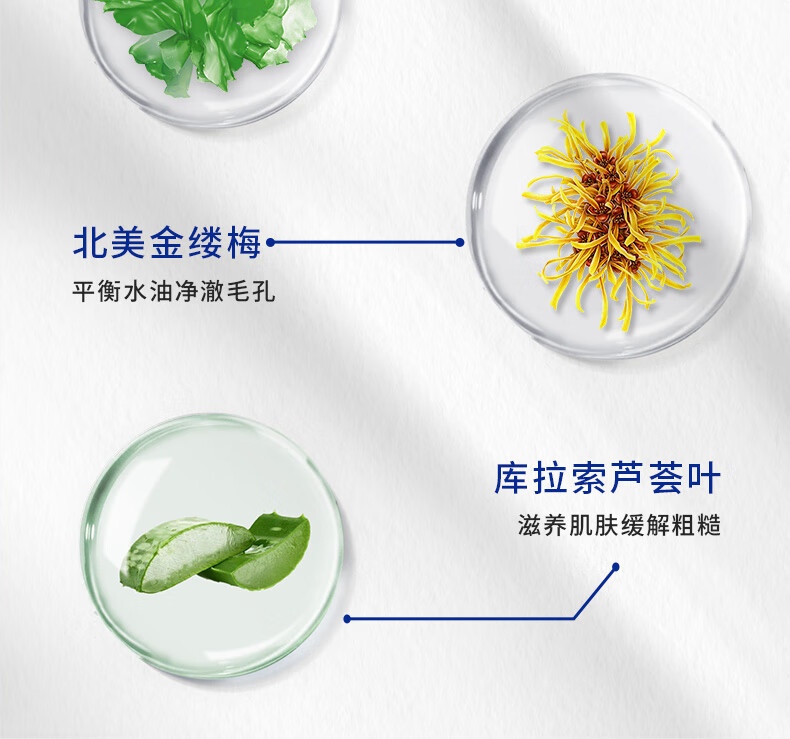 丹丁力诗（DAMTINLIS）氨基酸洁面慕斯200ml 控油泡沫洗面奶 清爽保湿洁面乳温和清洁