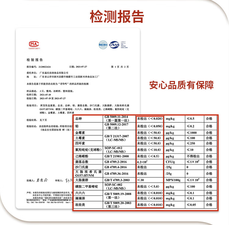 温氏 供港老母鸡 1.2kg 天露高品质供港鸡 农家散养老母鸡 散养土鸡走地鸡 月子餐月子鸡汤 散养500天以上