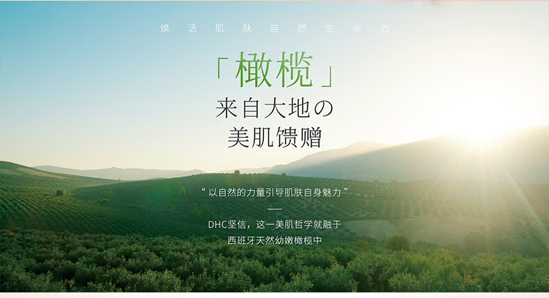 蝶翠诗（DHC） 橄榄润唇膏 1.5g (防干裂 无色打底 润泽唇部 保湿滋润不粘腻) 