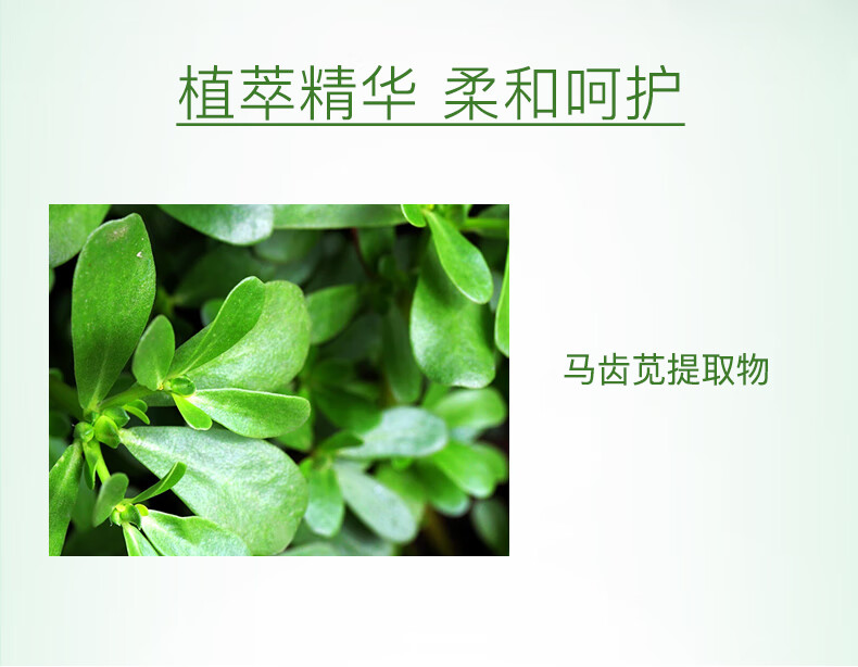 奥洛菲（OLEVA）清颜保湿精粹水500ml 深层补水烟酰胺 爽肤保湿水 保湿精华水
