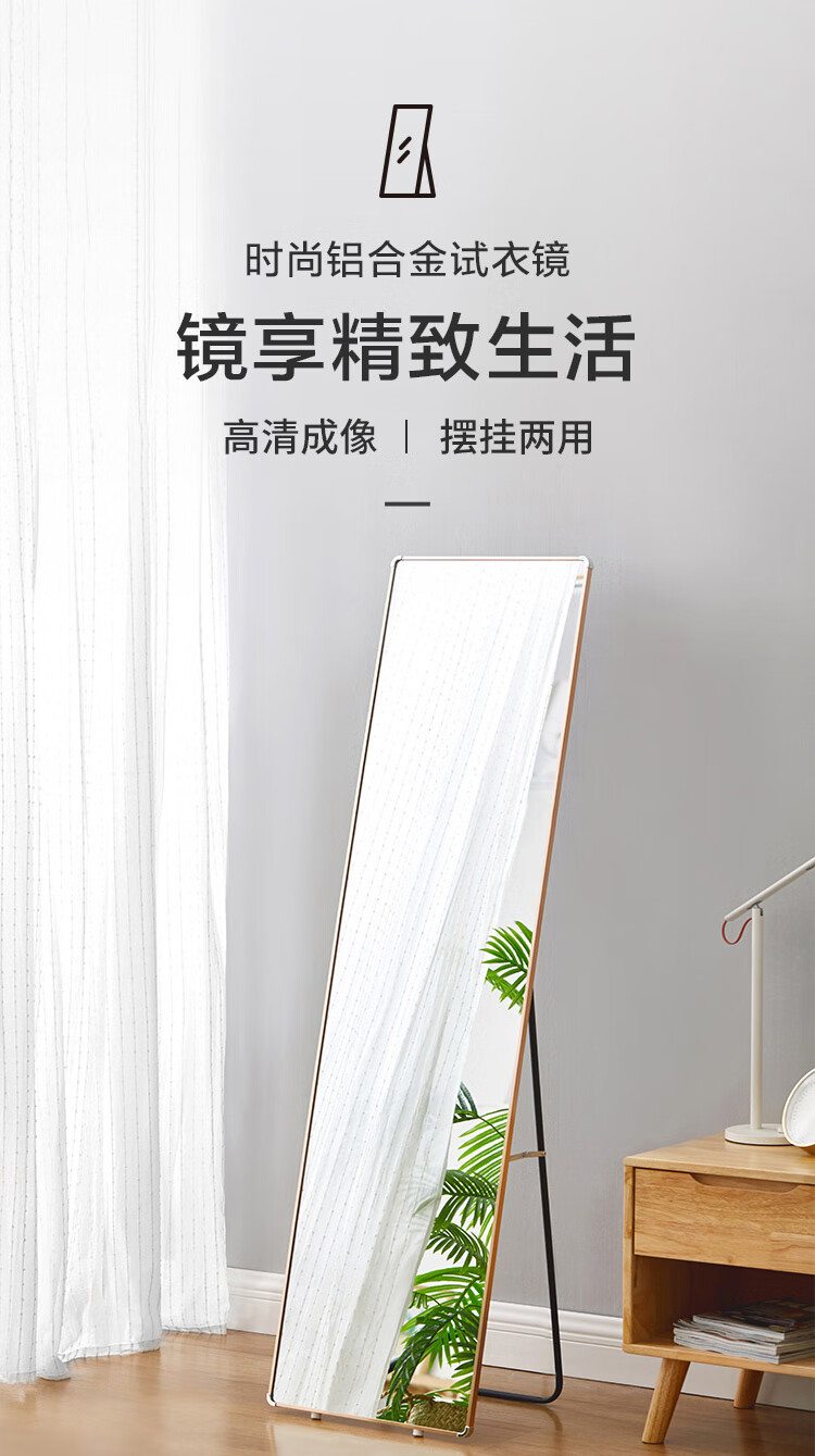 佳佰 穿衣镜 全身镜家用试衣镜壁挂铝合金框落地镜 香槟色