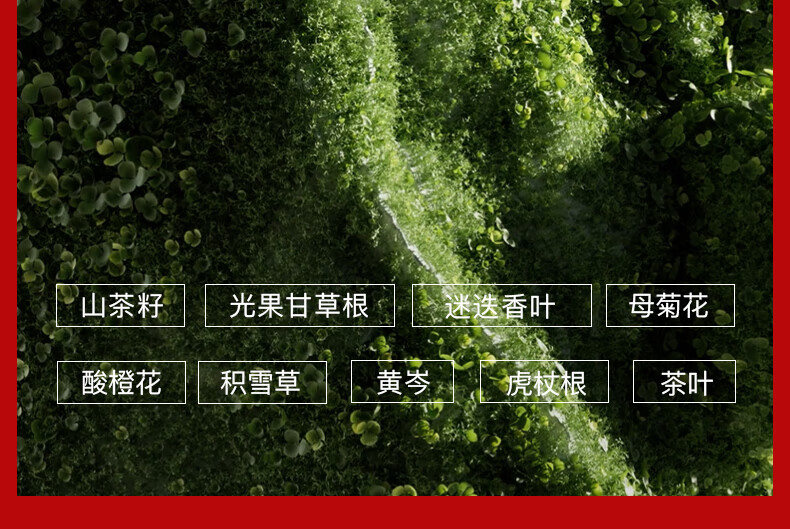 朱栈（red chamber）游弋生息气垫透光裸妆肌滋润保湿【生】替换芯
