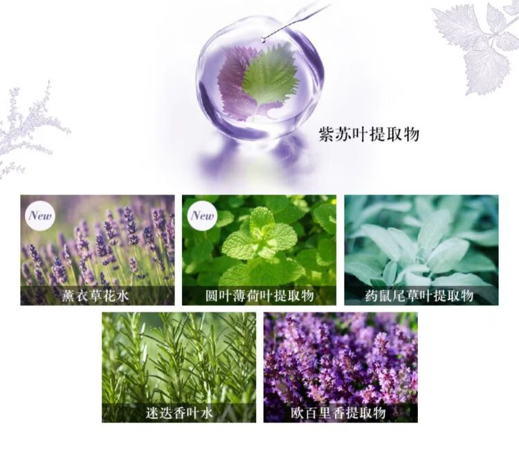 黛珂（DECORTE）黛珂 紫苏植萃精华水 (300毫升) 七夕情人节礼物