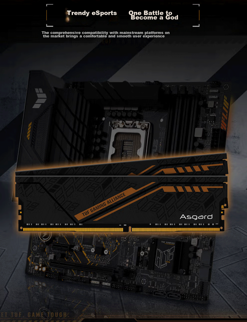 Оперативная память Asgard Jinlun Jia & TUF Co-Branded Edition, 16 ГБ (2x8 ГБ) DDR4 3200 МГц, CL18, с радиатором, черный/оранжевый