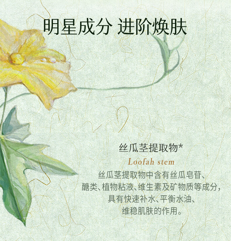 千纤草水乳套装丝瓜补水保湿平衡水油温和润肤全绿 水300ml乳250ml