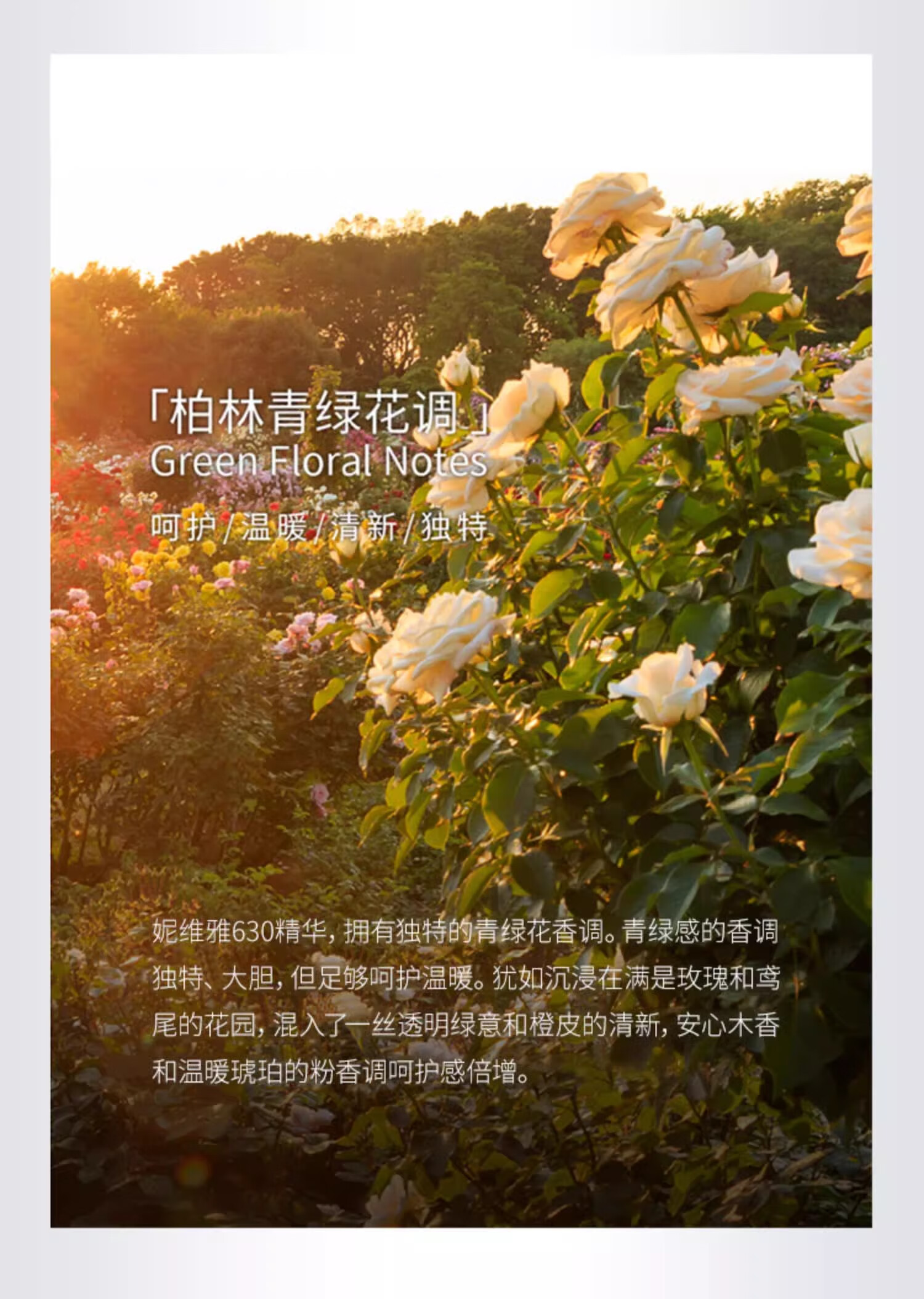 妮维雅（NIVEA）630淡斑美白精华液30ml 护肤品生日礼物女 王星越同款