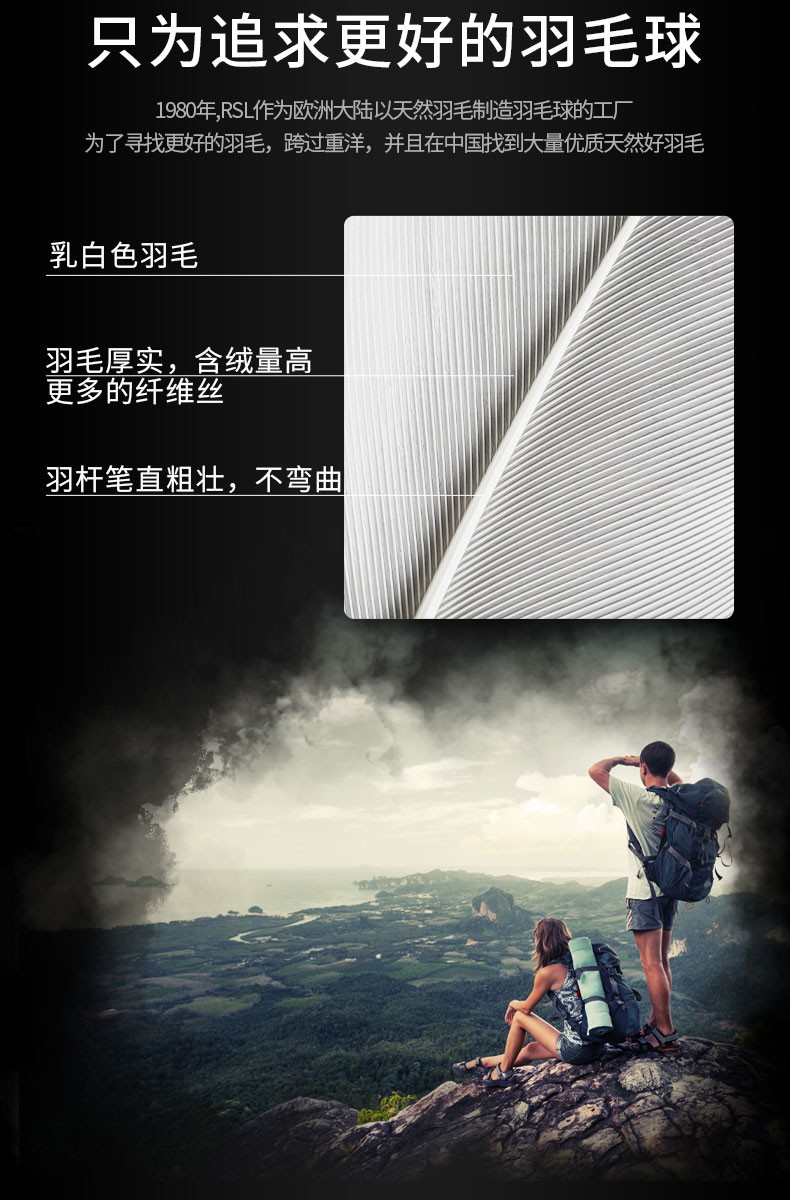 亚狮龙羽毛球_RSL 亚狮龙 77速 SK7号 羽毛球 12只装 SK.NO.7