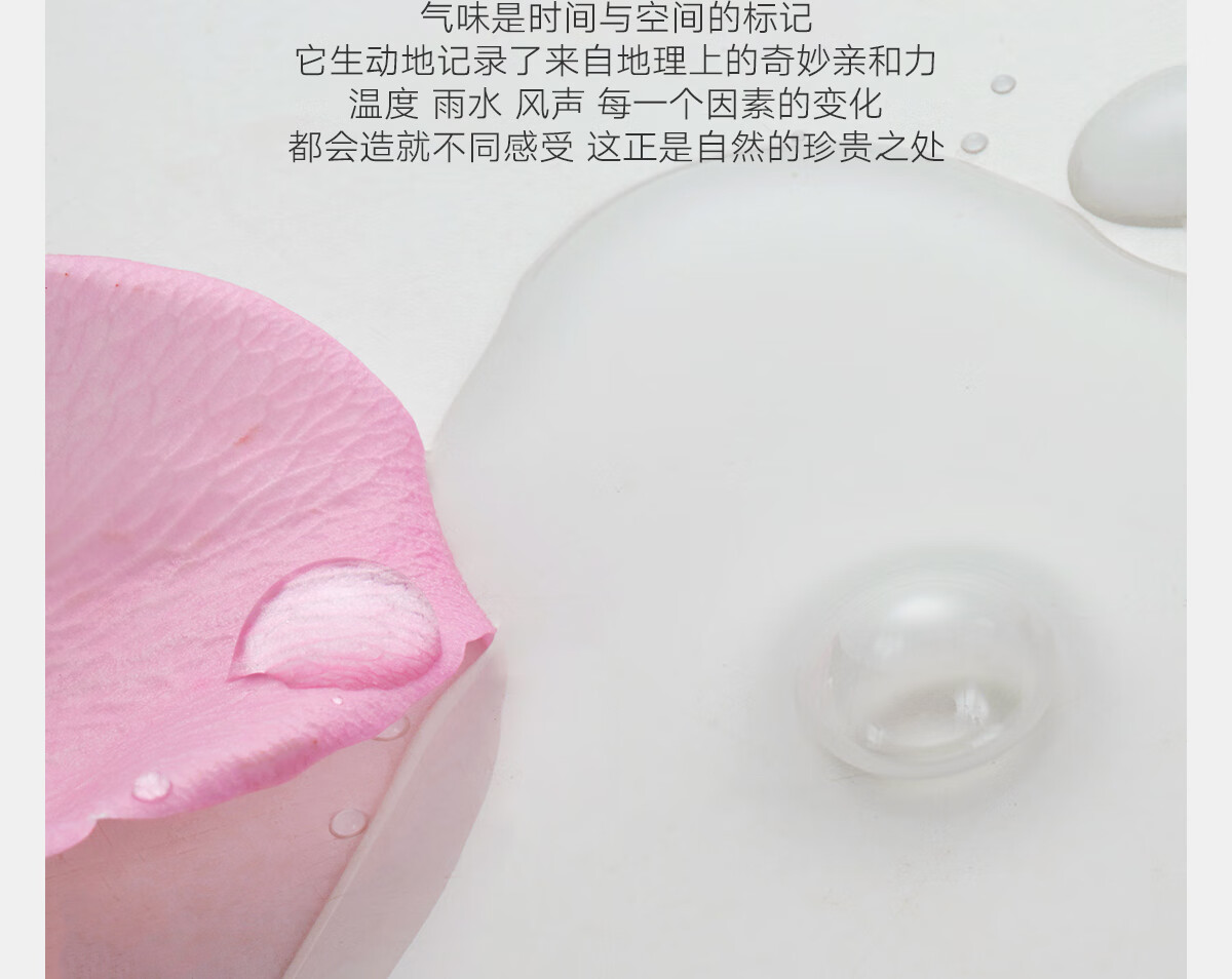 雏菊的天空大马士革玫瑰纯露保加利亚玫瑰补水保湿湿敷水1L装新年礼物