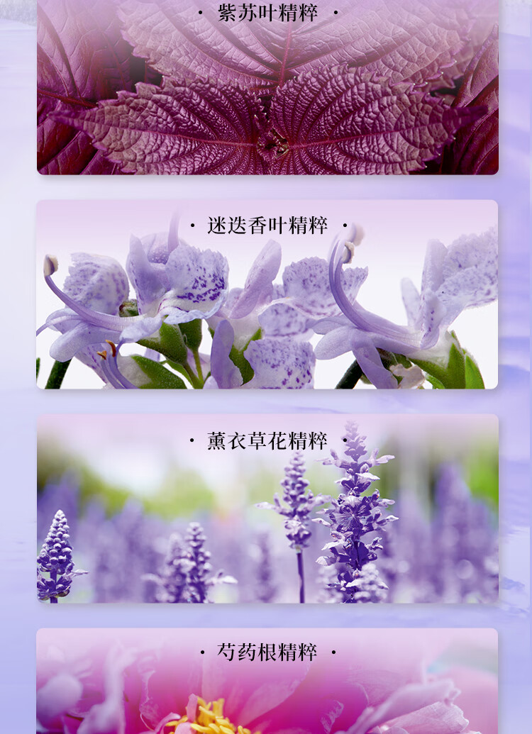 悦薇（Revital）净肤修护体验礼（乳30ml+五紫洁面*10+水乳*2）试用小样