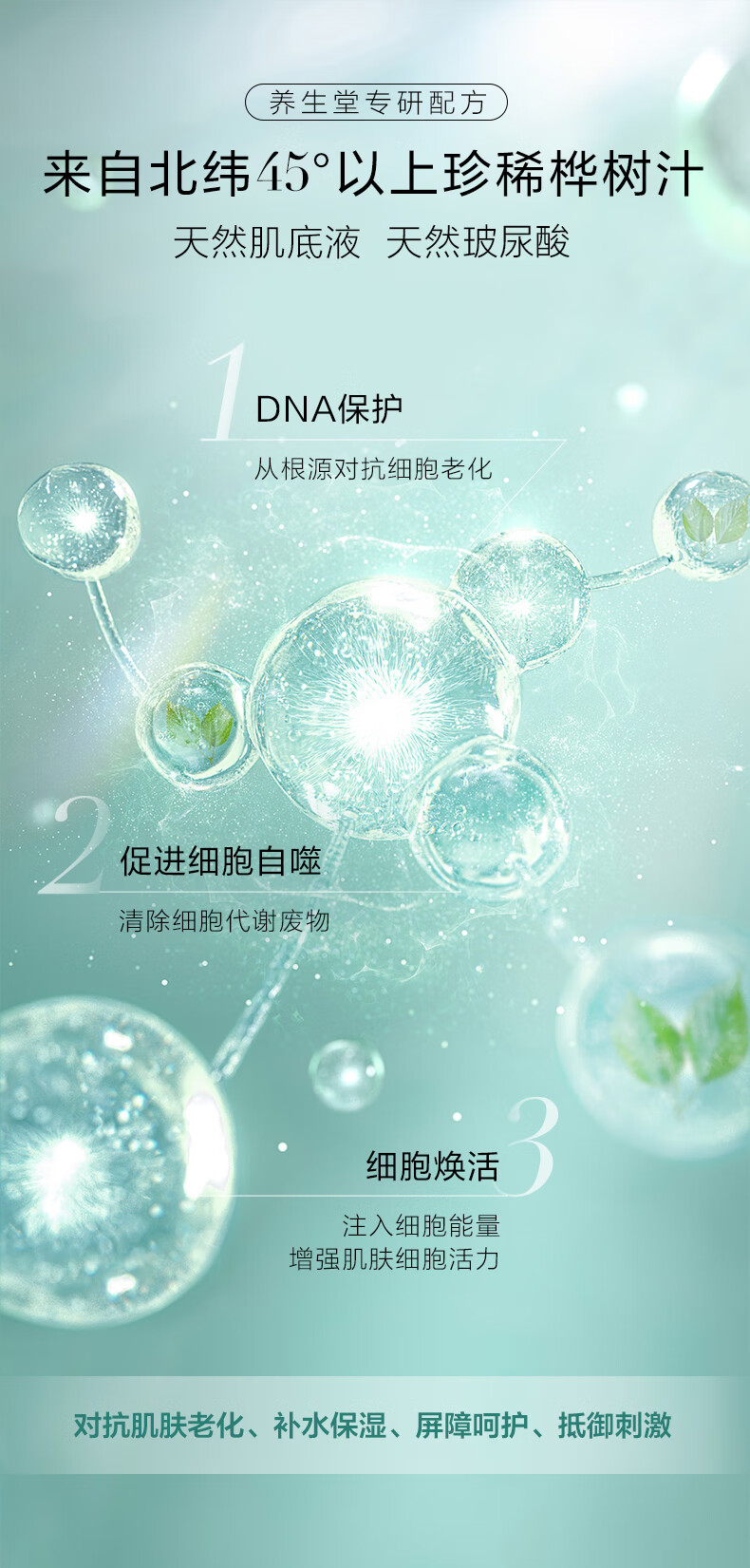养生堂天然桦树汁补水保湿霜面霜50g 滋润修护 不油腻 深补水易吸收