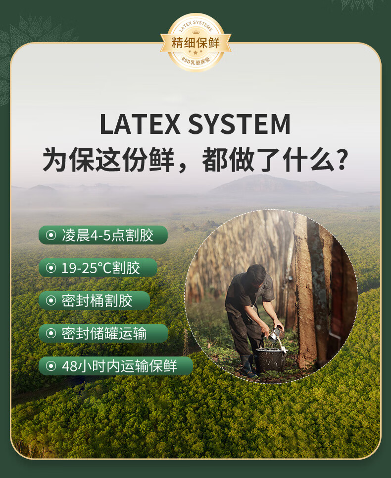 latex systems乳胶床垫怎么辨别真假？谁来讲讲内幕感受