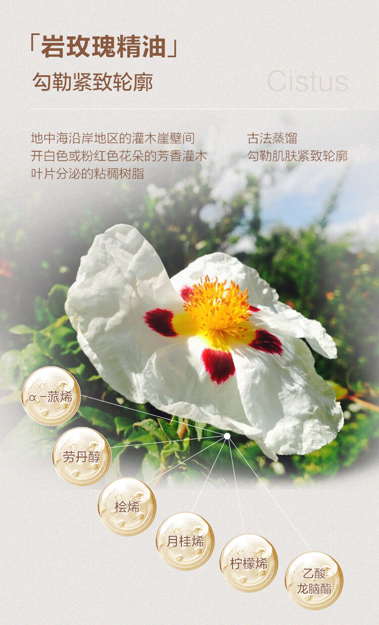 Oshadhi德国O家花香紧致面油30ml面部精华油护肤油擦脸油化妆品紧致保湿
