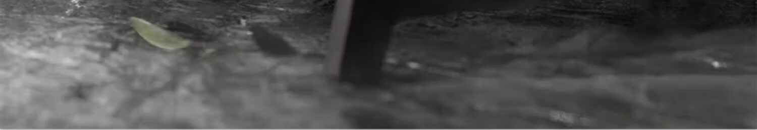 TUNKO黑茶卸妆油眼唇脸三合一温和深层清洁清爽控油卸妆水敏感肌225ml