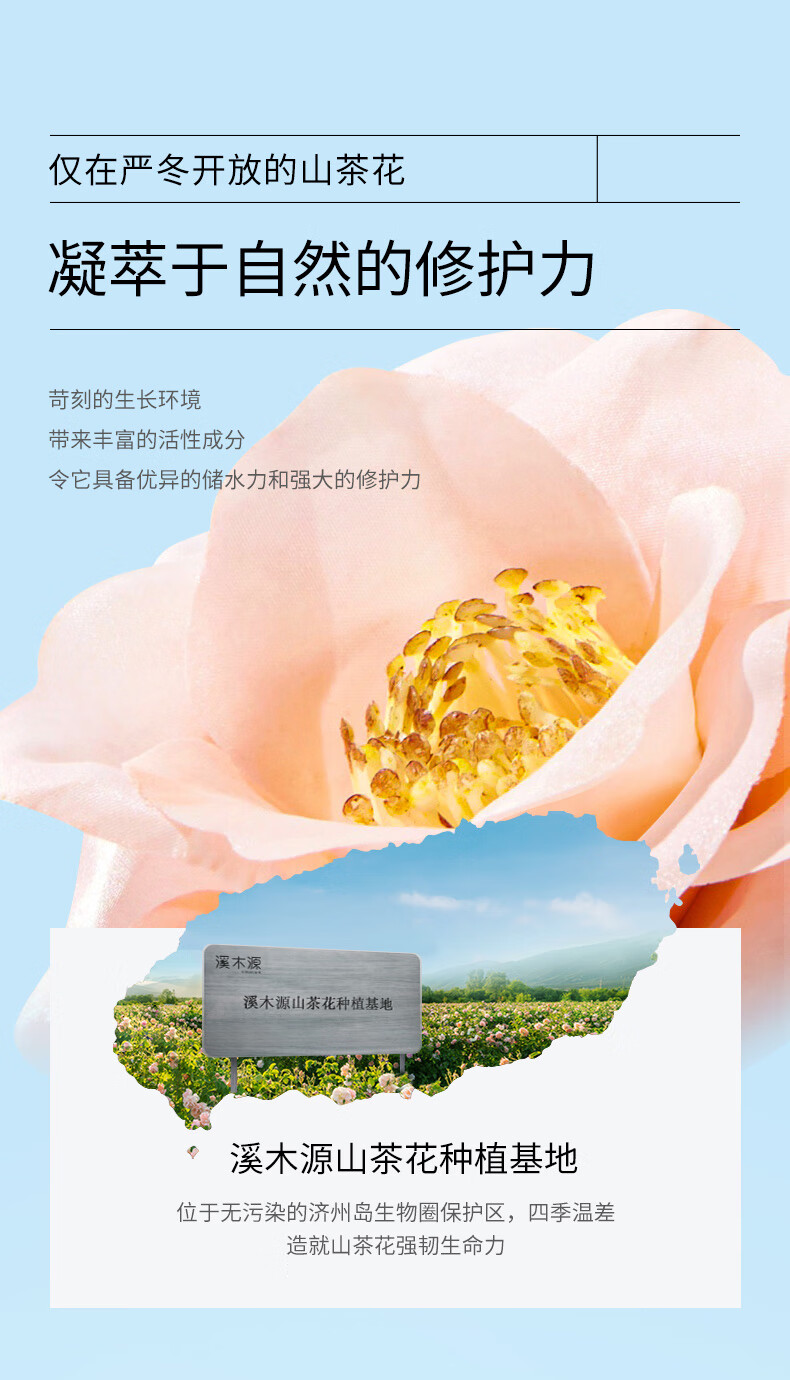溪木源山茶花修护面霜敏感肌舒缓补水精华霜学生党乳霜（30g清爽版）