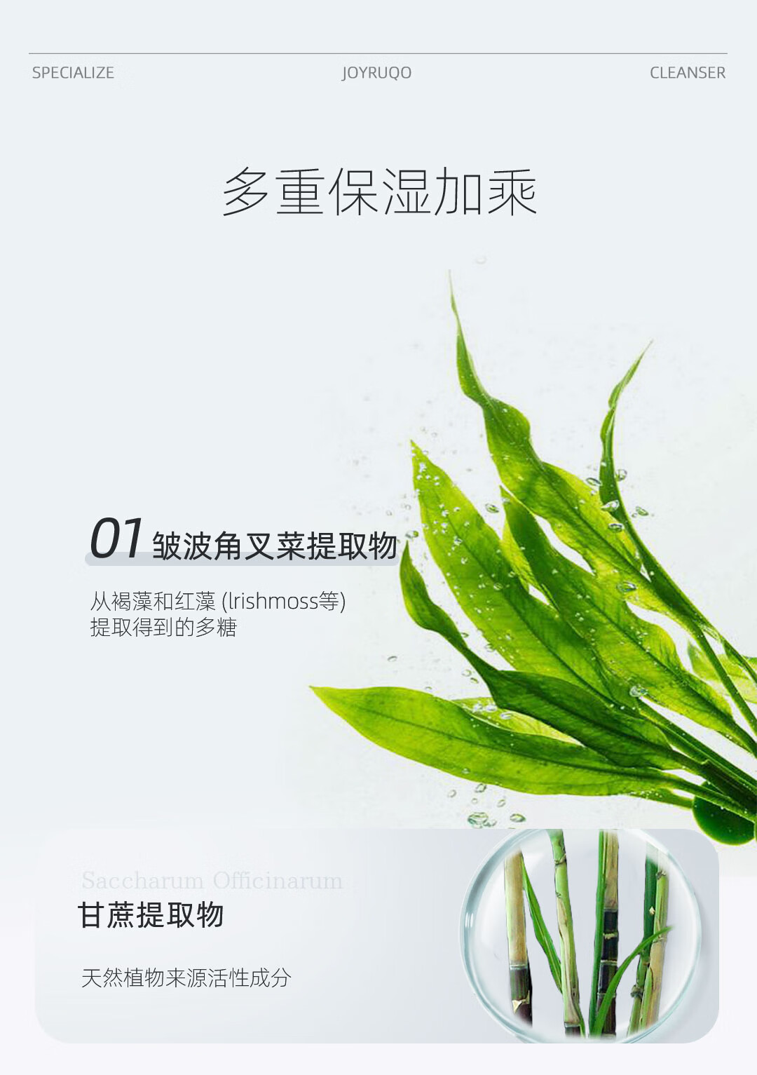 娇润泉氨基酸洗面奶臻颜净透温和洁面乳推荐同款 两只装
