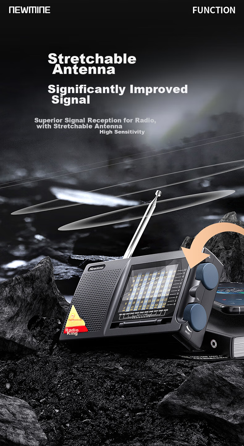Портативное радио Newmine T-6629, перезаряжаемое мини-колонка для пожилых людей, плеер для оперы, персональное аудиоустройство, помощь в прослушивании английского языка для вступительных экзаменов в колледж, плеер CET-4/6