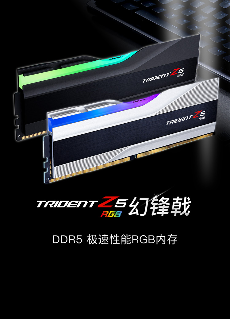 芝奇（G.SKILL）32GB(16Gx2)套装 DDR5 6000频率 台式机内存条-幻锋戟RGB灯条(黯雾黑)/C36