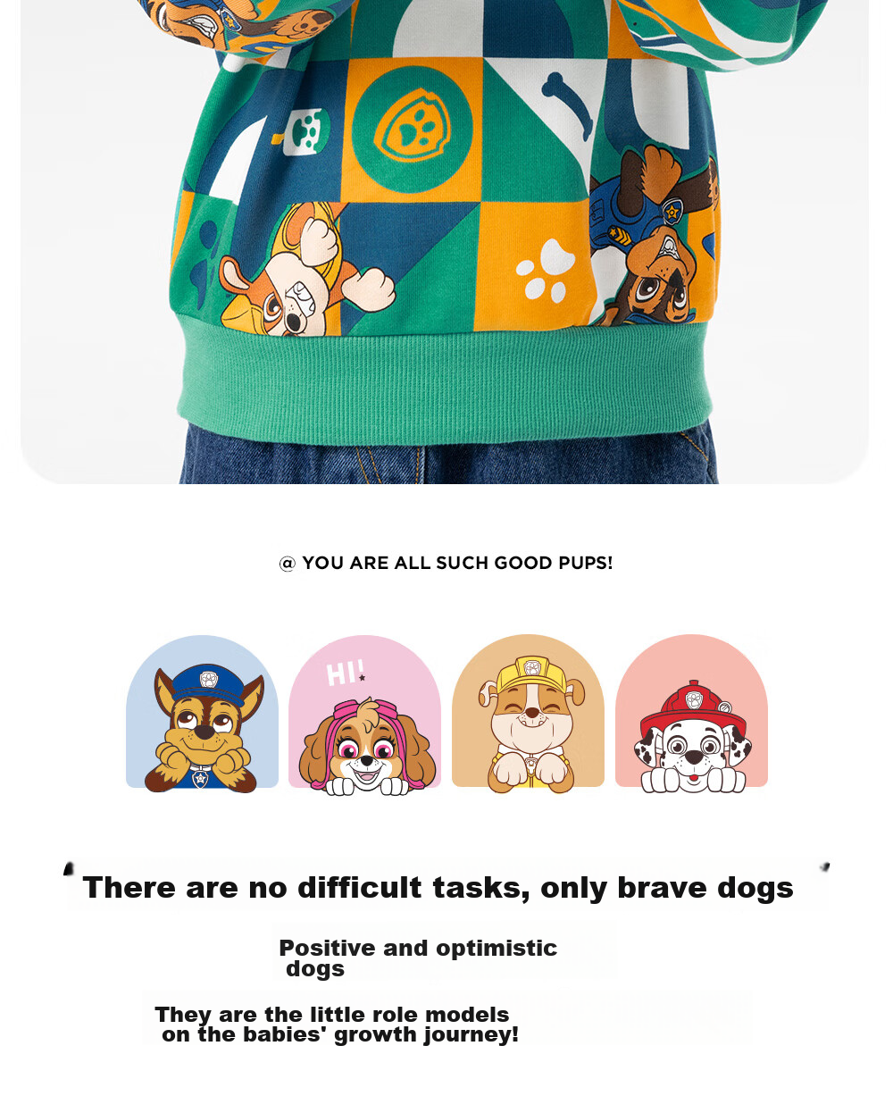 Толстовка PAW PATROL для мальчика, с принтом, арт. 100087019714