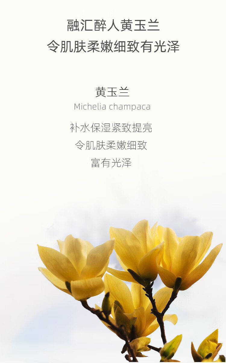 肯园Anius酒神焕肤精华油10ml酒神魔杖面部精油刮痧精华油紧实熟龄肌