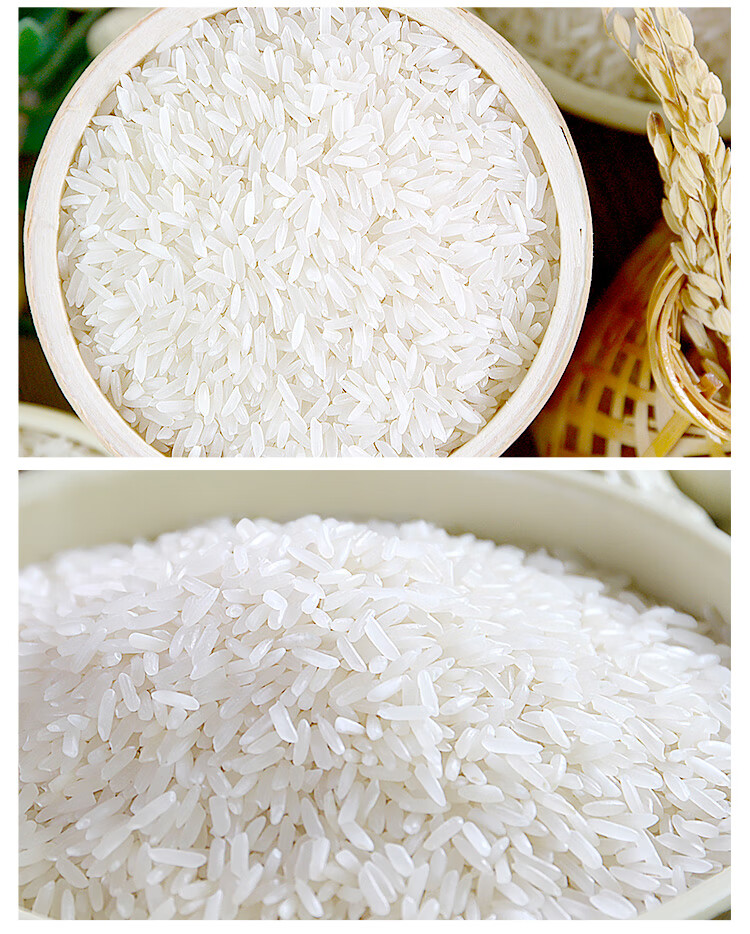 泰金香 臻选茉莉香米 长粒大米 籼米 大米10kg