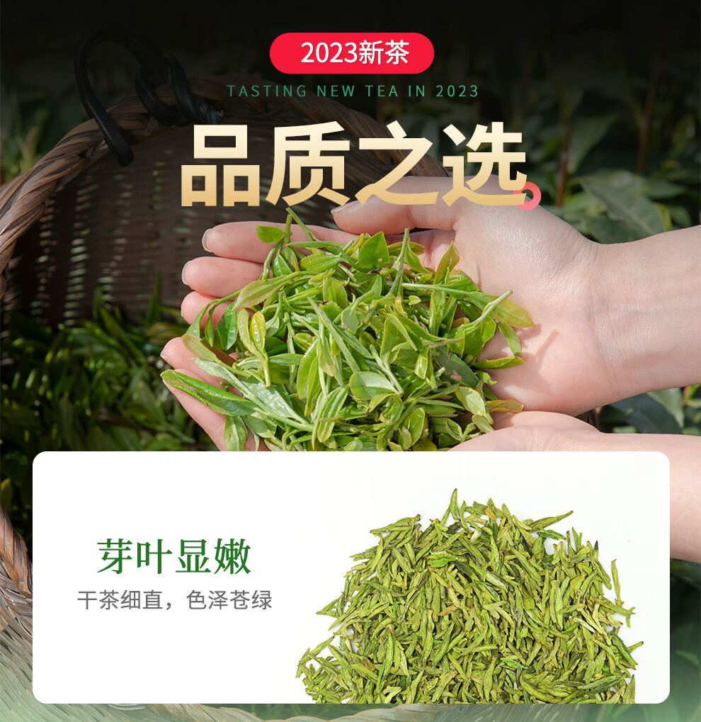 骏江南 龙井茶绿茶茶叶 2022新茶 雨前豆香浓香型嫩芽春茶礼盒装200g(100g*2罐)