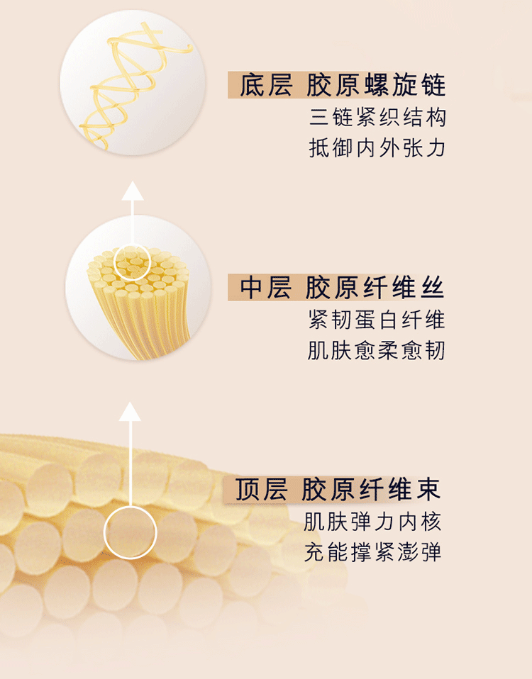 雅诗兰黛（Estee Lauder）智妍面霜滋润款【无盒简装】50ml 补水保湿面部秋冬护肤品