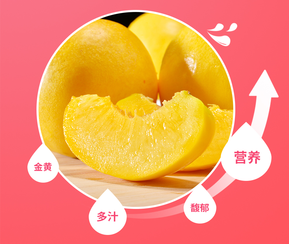 山东蒙阴 黄金油桃 黄肉油桃 4.5-5斤 桃子 新鲜水果