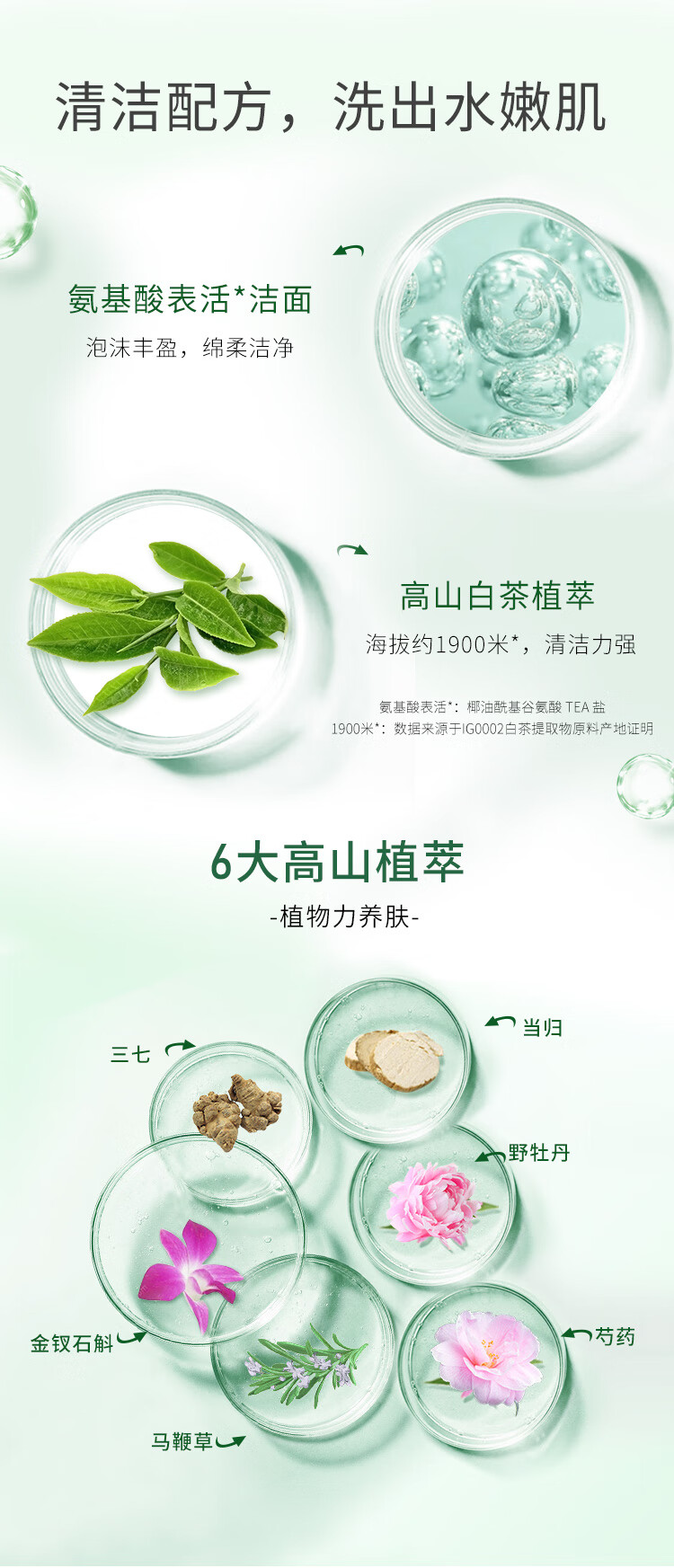 植物医生高山白茶深层清洁氨基酸洗面奶 洁面泡泡150ml