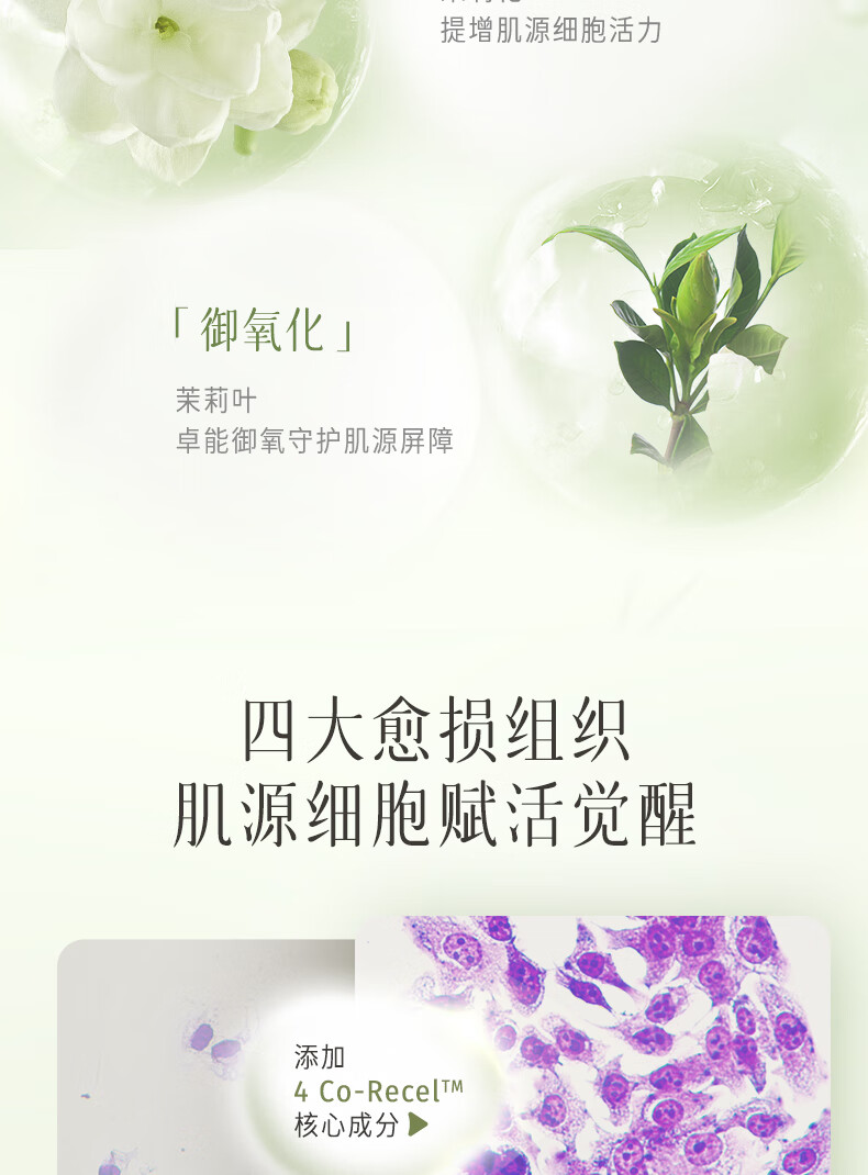 逐本不染茉莉白茶面膜补水保湿舒缓修护焕亮贴片面膜3片/盒七夕节送礼