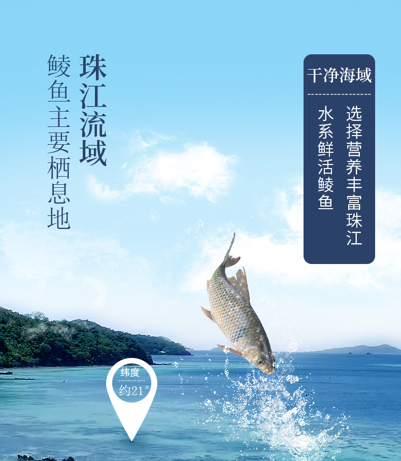 珠江桥豆豉鲮鱼罐头207g*3中粮出品好不好？