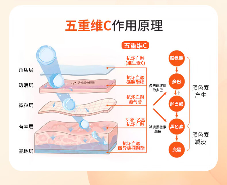 LOY HANC五重维C素颜霜 遮瑕隔离妆前乳懒人素颜霜自然提亮不假白30g