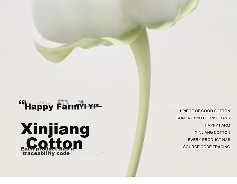 Пуховое одеяло Shui Xing Jia Fang Xinjiang Cotton, 100% хлопок, зимнее, размер "Double", примерно 6.2 Цзинь