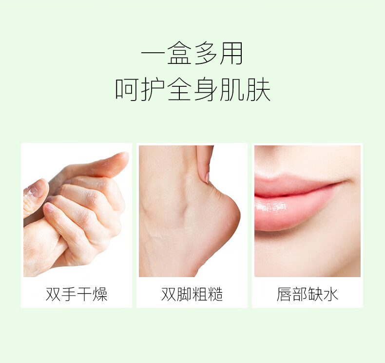 萨尼奇山茶油手足防皴香膏  滋润补水保湿修护防裂清爽滋润护手足唇 香膏12g 1个