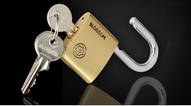 Замок BLOSSOM Copper Padlock BC9050, водонепроницаемый и устойчивый к ржавчине, для офиса, общежития, наружных складов, ворот и дверей отделений, 50 мм