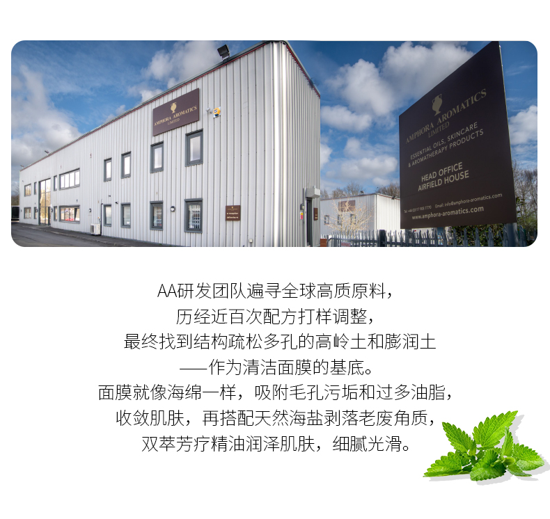 AA网（AA SKINCARE）进口薄荷海盐清洁面膜泥100ml 男女泥膜 去黑头清洁控油去角质