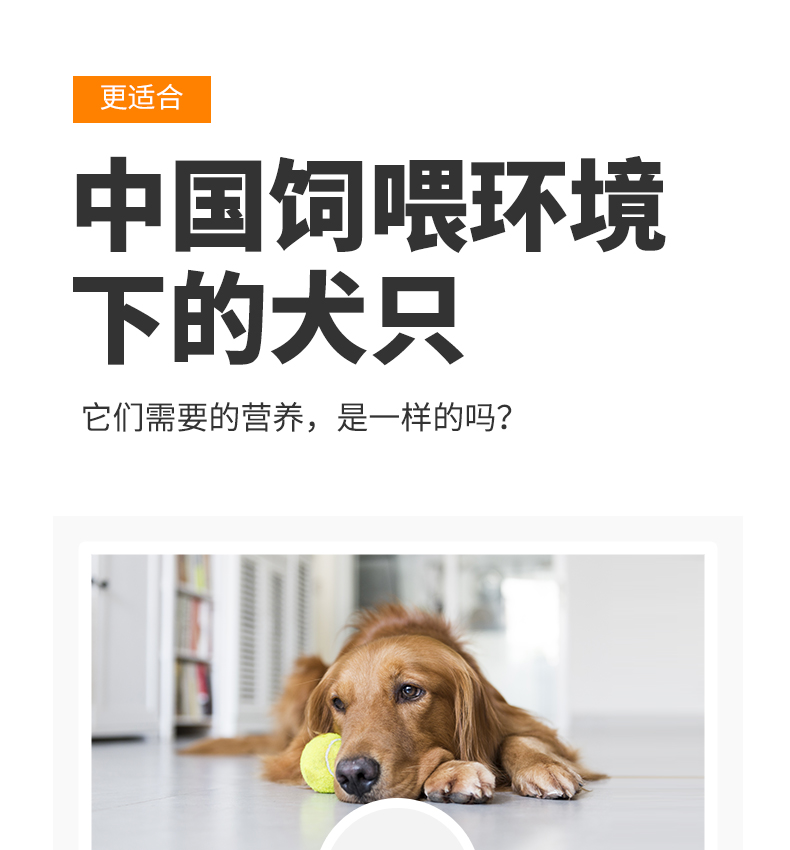 卫仕 小型犬泰迪比熊大型犬金毛拉布拉多营养通用型犬粮 卫仕京选食荟 犬粮12kg