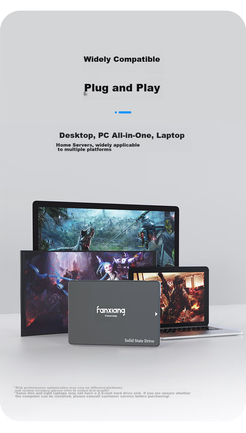 SSD накопитель FANXIANG FP325Q 512 ГБ SATA3.0