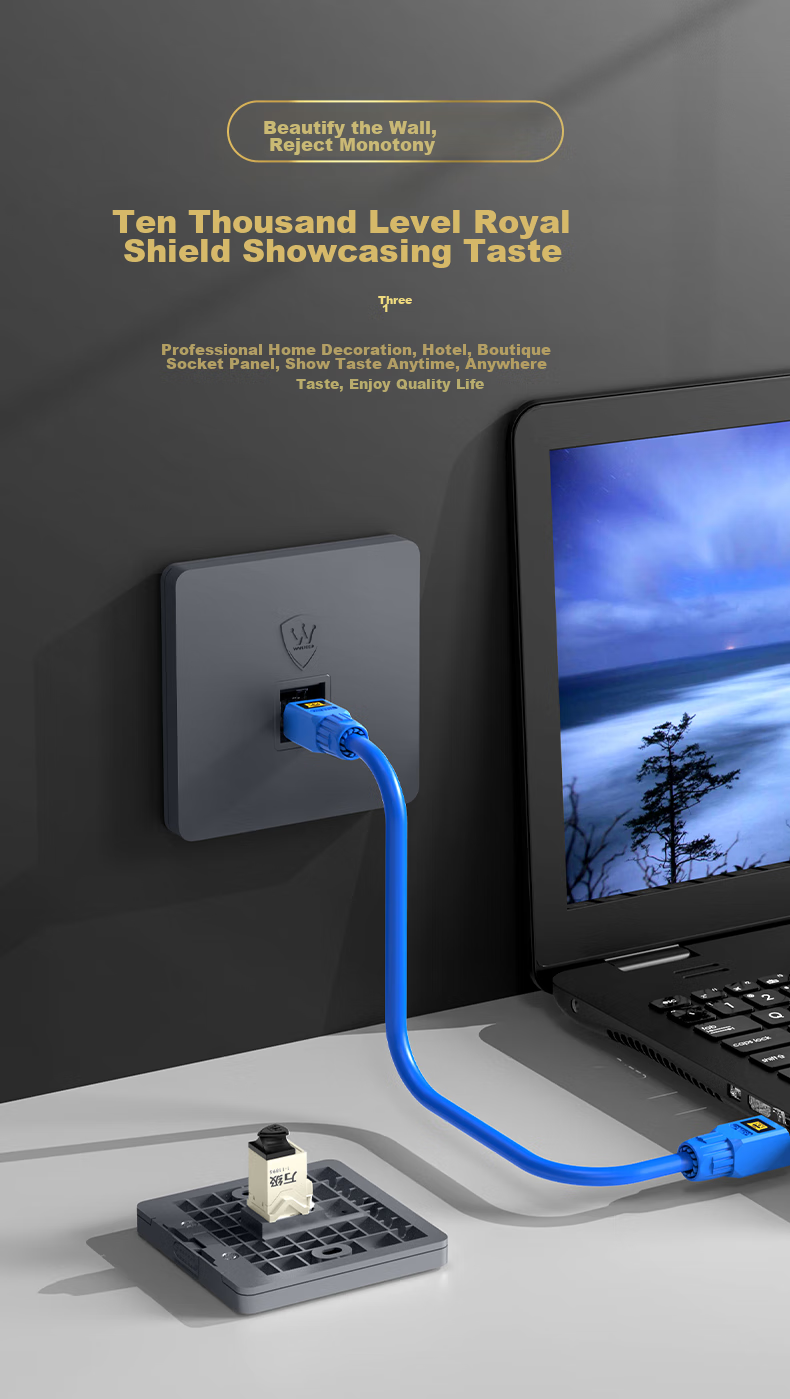 WANJEED Сетевая панель прямой проходки Cat6a 10G Ethernet кабель розетка панельная коробка, однопортовый сетевой порт 86 типа компьютер экранированный прямой модуль вставки, серый 1-14655