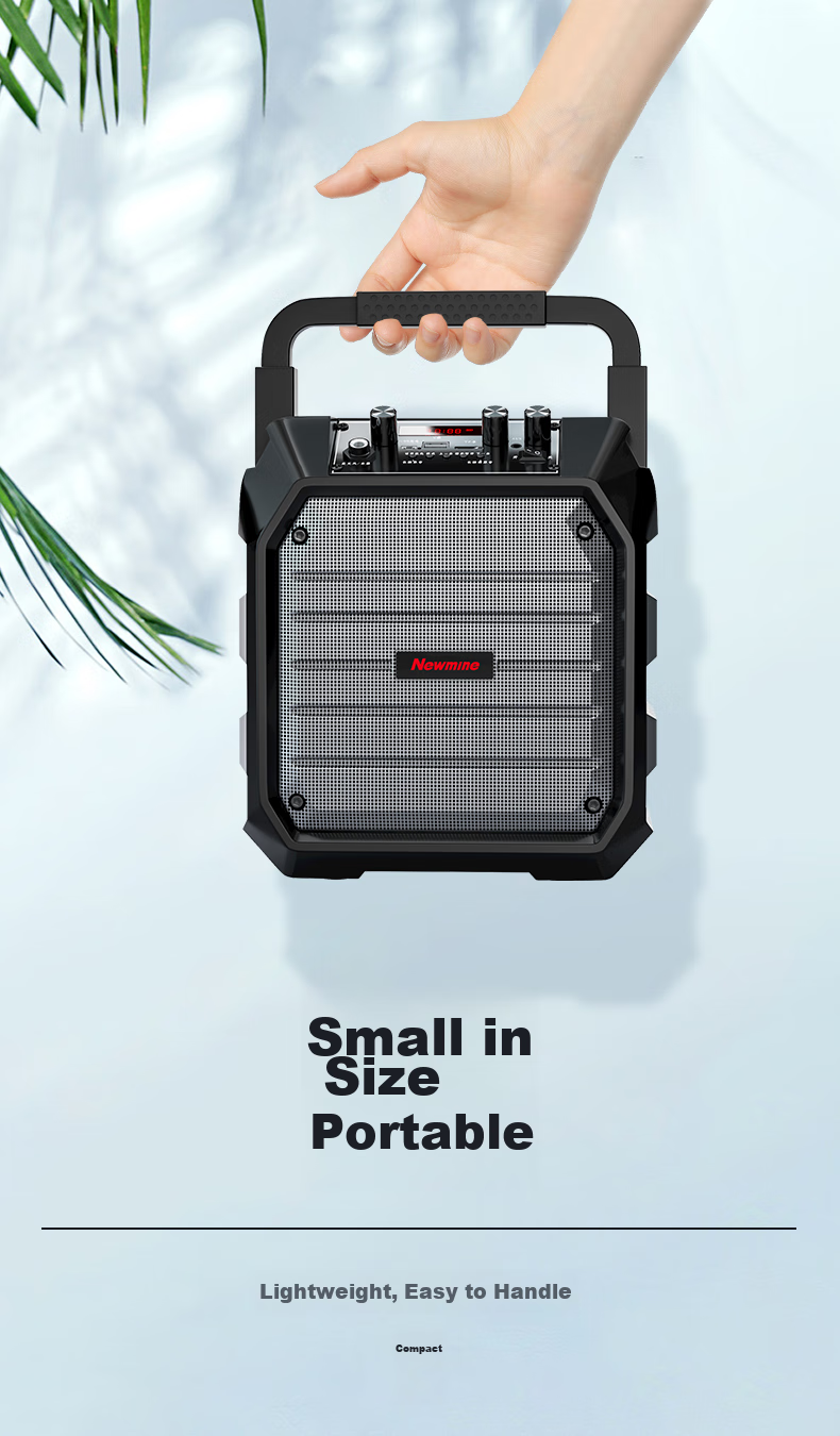 Беспроводная Bluetooth-колонка Newmine K98, портативная, с двумя микрофонами, радио, для уличных выступлений и домашнего использования