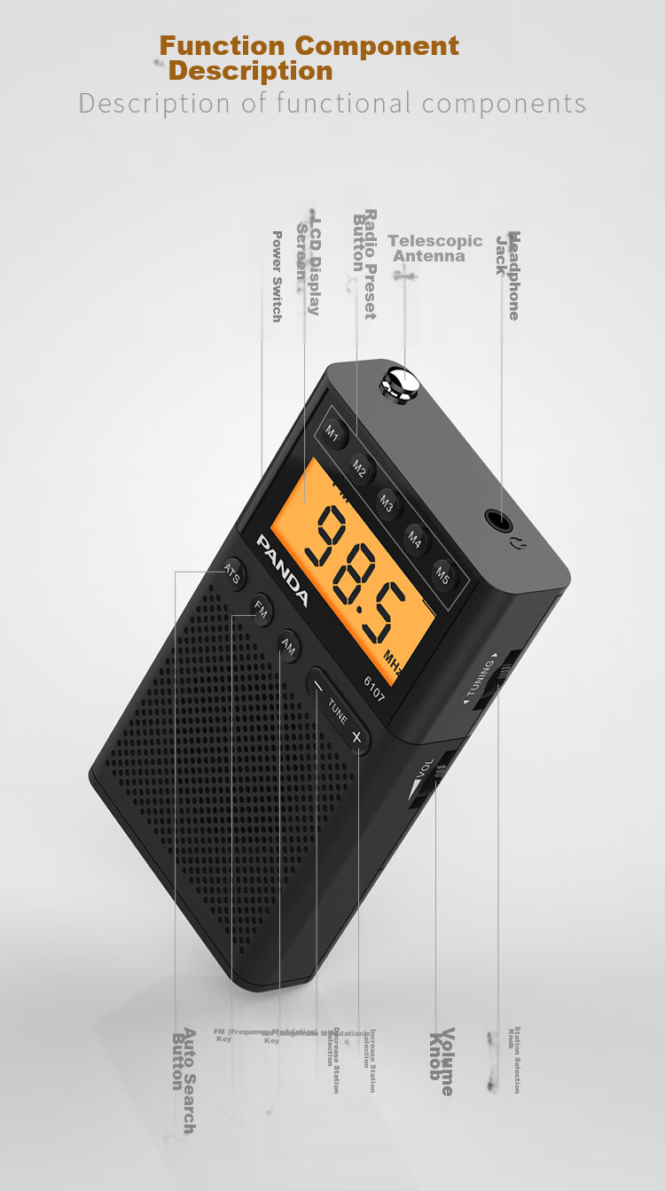 Мини-радио Panda 6107 для прослушивания английского языка, экзаменов, подарка пожилым людям, портативное, с цифровым дисплеем