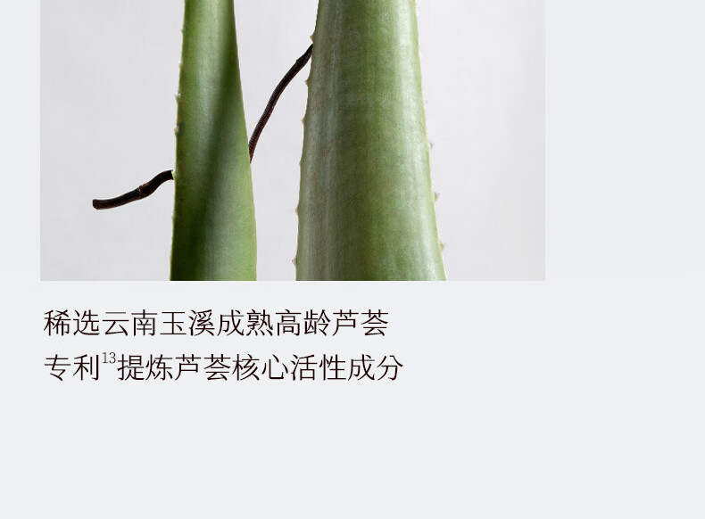 稀物集面膜修护肌肤补水面膜23ml*10片 保湿改善暗弹滑提亮补水护肤品