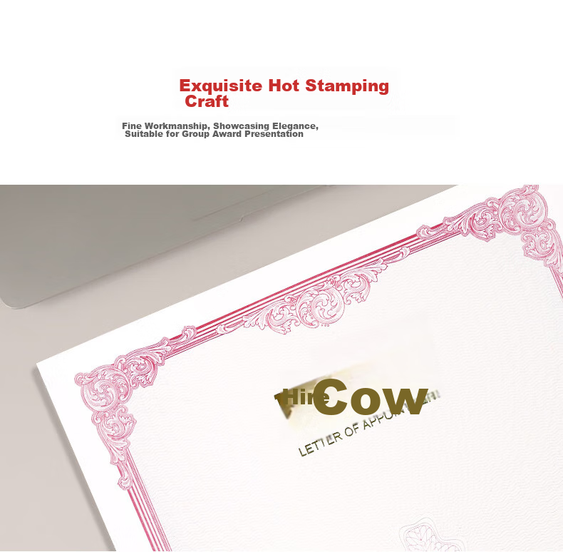 Befon A4 Appointment Letter Inner Pages, Certificate of Appointment Award Certificate Inner Pages, Company Employment Certificate, Printable A4 Paper Inner Pages, Office Stationery, 10 Sheets 0365