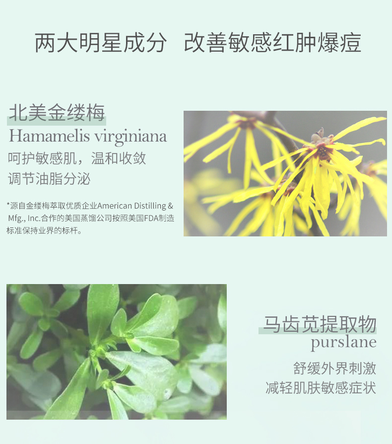 善草纪茶语清影三部曲礼盒 控油补水保湿水乳护肤套装生日礼物